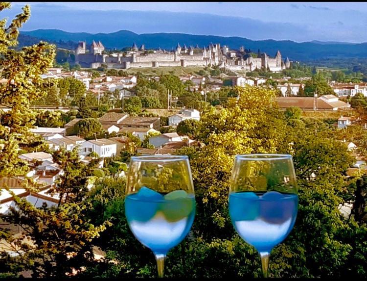 Chambre D'Hote Vue Imprenable Sur Cite - Villa Rose Carcassone Kültér fotó
